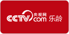 媒体 24