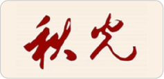 媒体 9