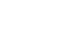 观众